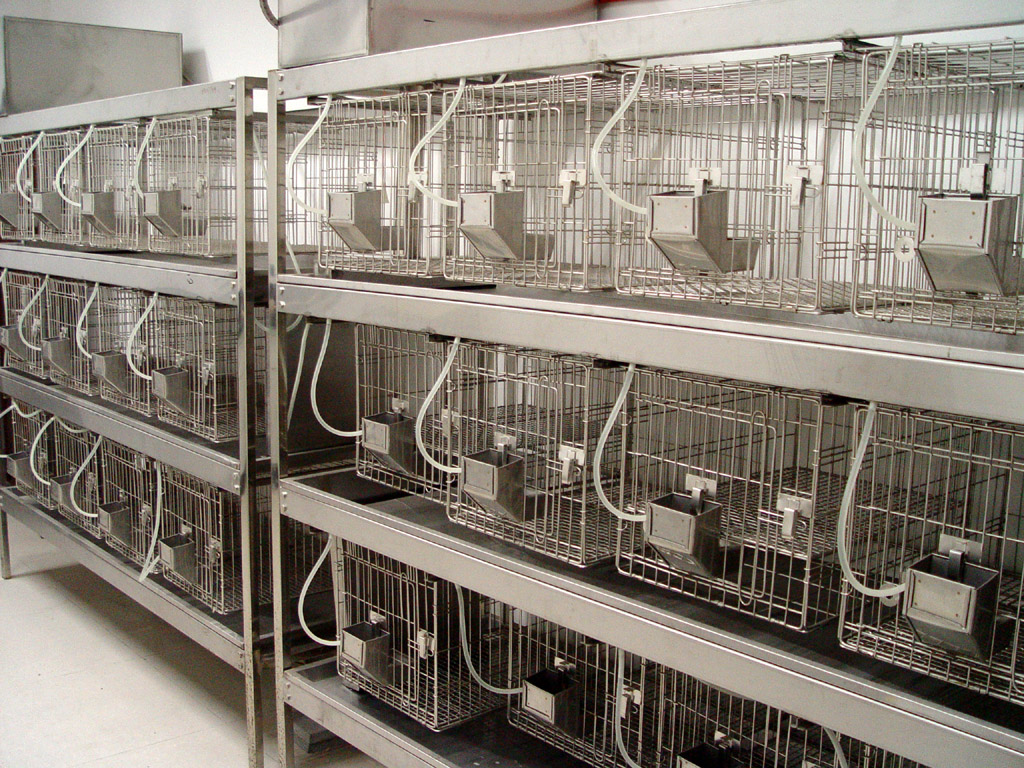 動物實驗室設計規化